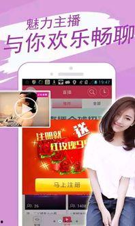 居哥最新爆料新闻直播,最新爆料新闻直播精彩瞬间  第1张